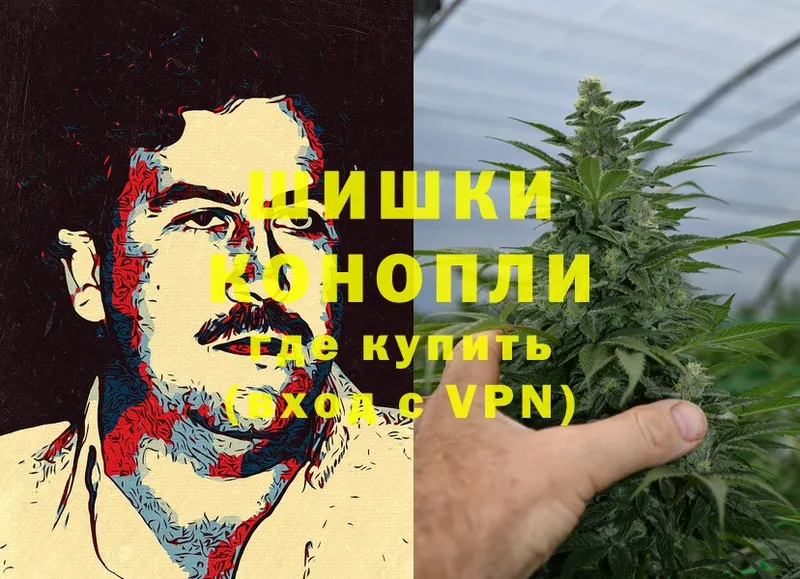 Бошки марихуана OG Kush  Бабушкин 